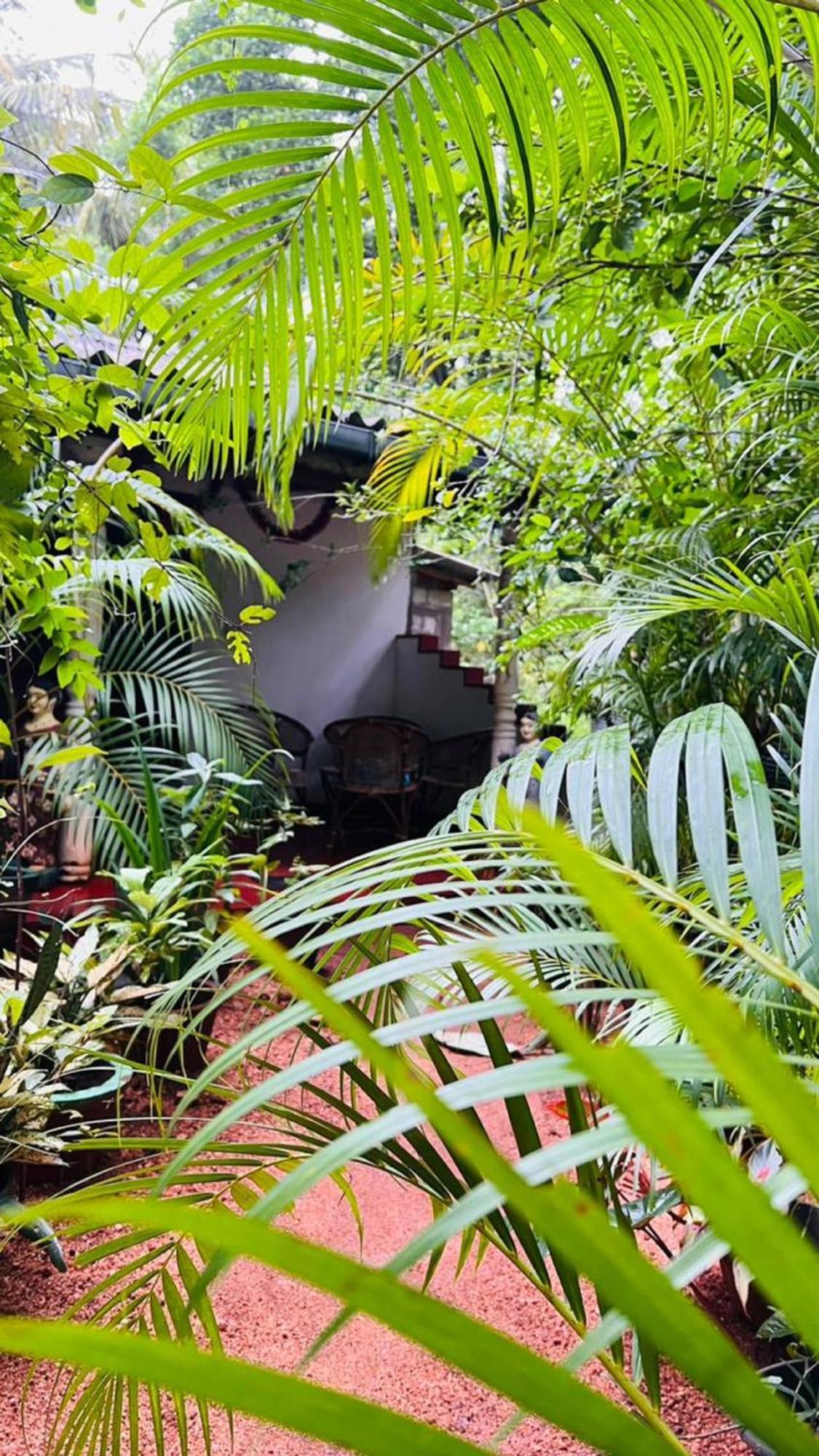 Sigiri Kp Family Home Sigiriya Exterior photo