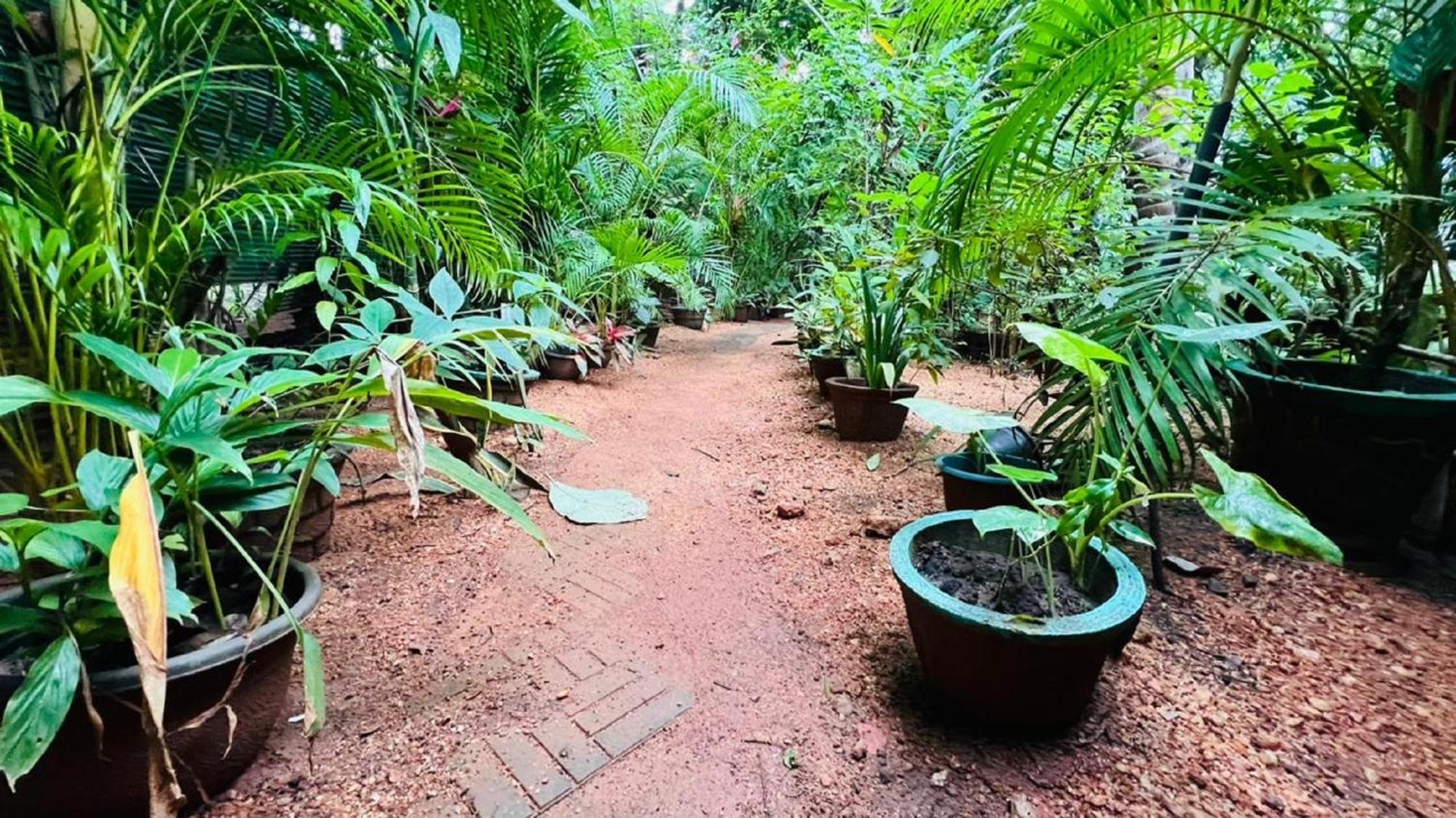 Sigiri Kp Family Home Sigiriya Exterior photo