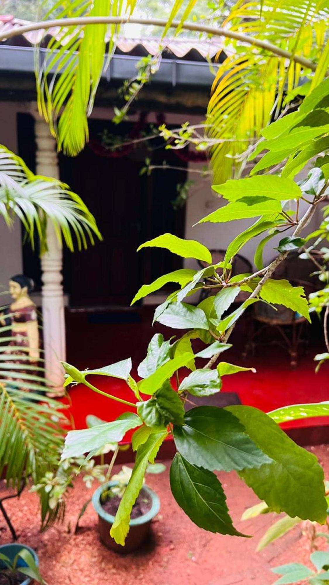 Sigiri Kp Family Home Sigiriya Exterior photo